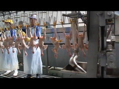 एक आकार का चूल्हा