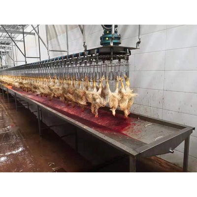 ISO9001 CE पूर्ण स्वचालित पोल्ट्री कत्लेआम लाइन स्वचालित चिकन कत्लेआम लाइन