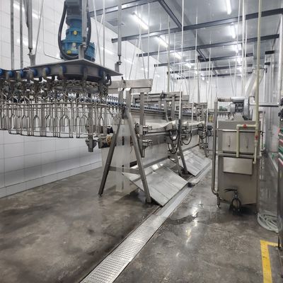 स्टेनलेस स्टील कत्लेआम प्रसंस्करण लाइन 500bph 10000bph चिकन कत्लेआम उपकरण
