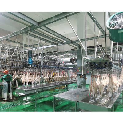 380V गरम करने के कार्य के साथ पोल्ट्री मांस प्रसंस्करण संयंत्र का निर्माण
