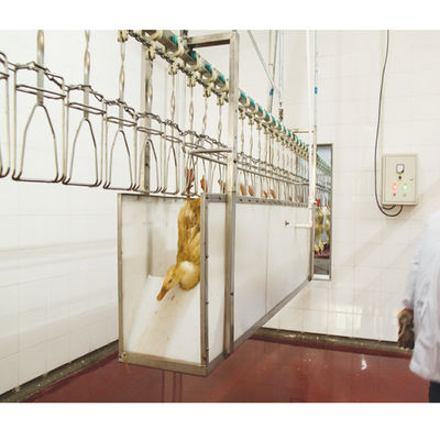 स्टेनलेस स्टील पोल्ट्री कत्लेआम लाइन 500 बीपीएच चिकन पल्किंग उपकरण