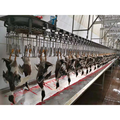 विभिन्न उत्पादन क्षमताओं के लिए स्टेनलेस स्टील चिकन कत्लेआम उत्पादन लाइन