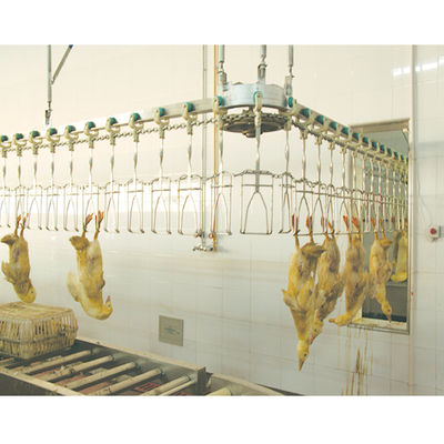 मुर्गी काटने की प्रक्रिया के लिए अनुकूलित स्वचालित हलाल पोल्ट्री वध उपकरण