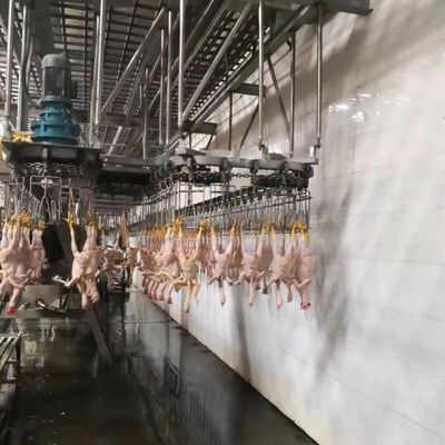 स्टेनलेस स्टील 304 टर्की कत्लेआम मशीन पोल्ट्री कत्लेआम संयंत्र मशीन