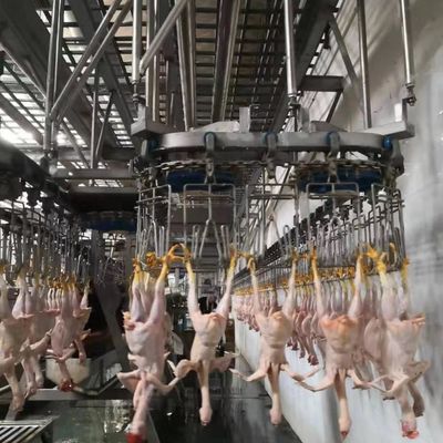 220V / 380V स्वचालित वध मशीन पोल्ट्री वध प्रसंस्करण लाइन