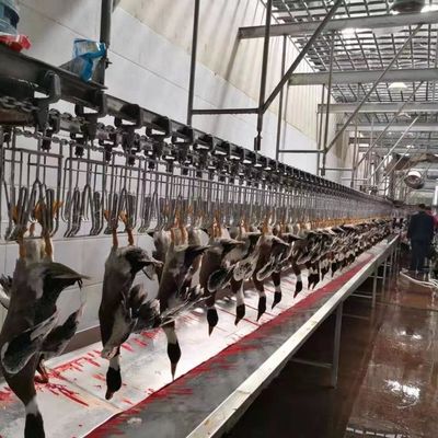 सीई प्रमाणित पोल्ट्री कत्लेआम उपकरण बतख पोल्ट्री कत्लेआम लाइन 600 किलो