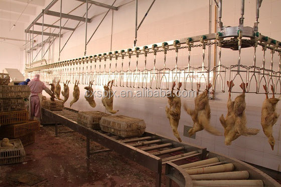 चिकन बतख हंस प्रसंस्करण लाइन वध मशीन 304 स्टेनलेस स्टील 220V