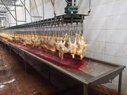 1000 चिकन प्रति घंटा बीपीएच पूर्ण मिनी पोल्ट्री प्रोसेसिंग लाइन कत्लेआम संयंत्र