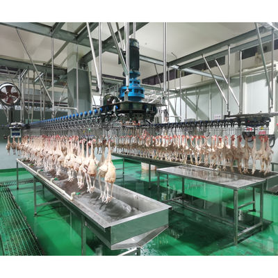 खाद्य भंडार चिकन प्रसंस्करण के लिए स्वचालित हलाल पोल्ट्री चिकन कत्ल मशीन