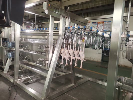 2000 बीपीएच चीन स्वचालित चिकन प्रसंस्करण संयंत्र स्टील फार्म पोल्ट्री कत्लेआम लाइन से बने नए हालत कत्लेआम उपकरण