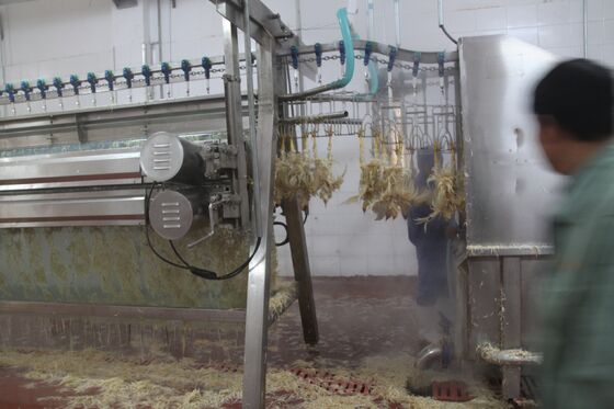 चिकन पल्कर मशीन छोटे पोल्ट्री मत्स्य पालन पोल्ट्री))) पोलोस) मांस प्रसंस्करण चिकन प्रसंस्करण उपकरण