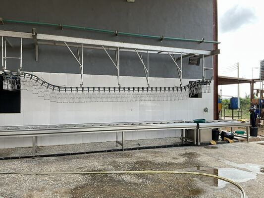 1000 पक्षी प्रति घंटे के लिए हलाल प्रमाणित उच्च दक्षता टर्नकी पोल्ट्री प्रसंस्करण लाइन